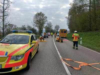 H4 VU 1 Person eingeklemmt LKW - L1115 AS Mundelsheim >> Großbottwar - 12.04.2019
